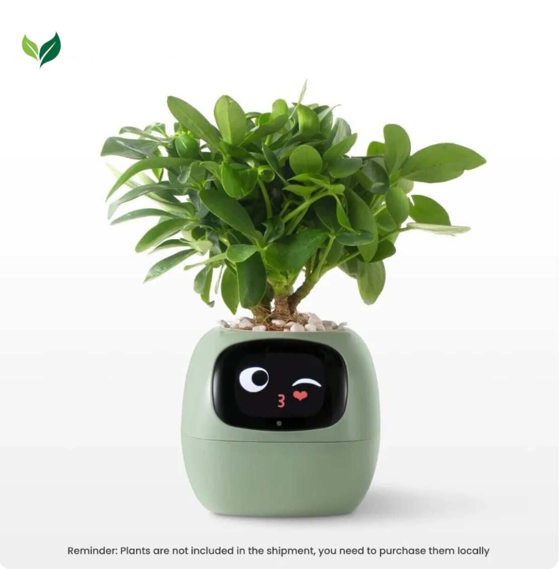 PlantPower™ AI-powered planter