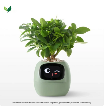PlantPower™ AI-powered planter
