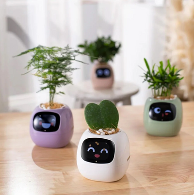 PlantPower™ AI-powered planter