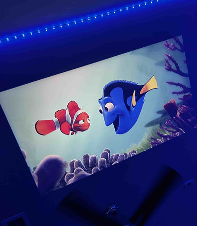 ProjectorX™️