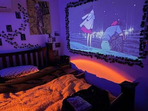 ProjectorX™️