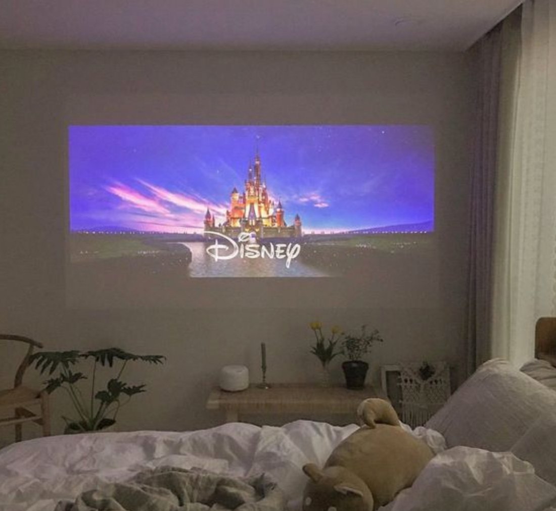 ProjectorX™️