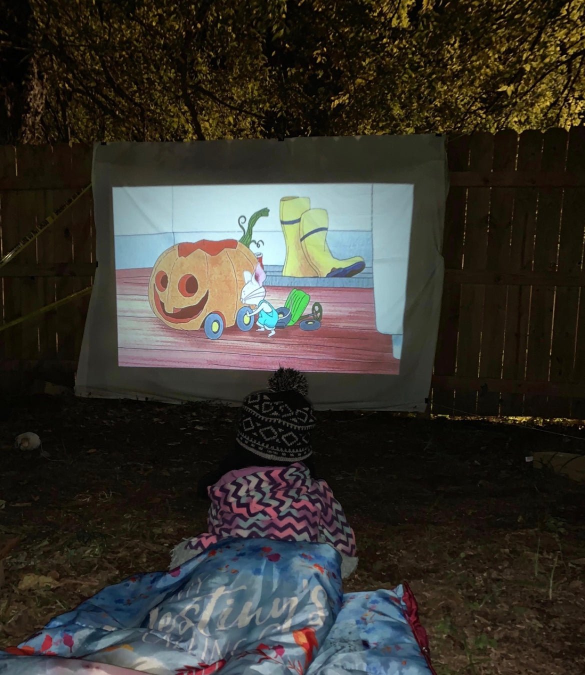 ProjectorX™️