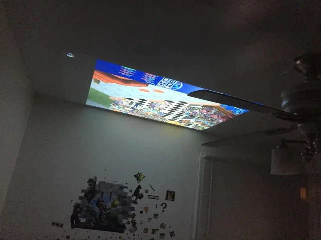 ProjectorX™️